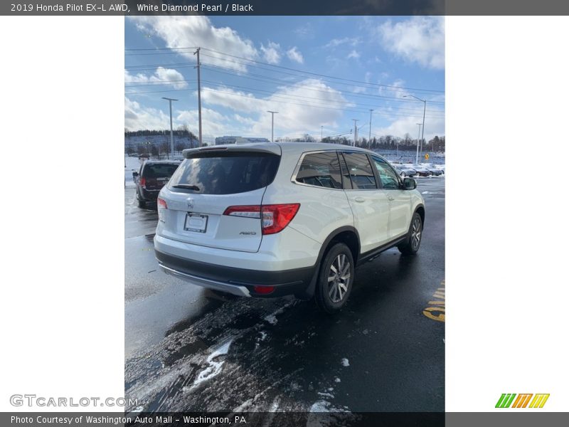 White Diamond Pearl / Black 2019 Honda Pilot EX-L AWD