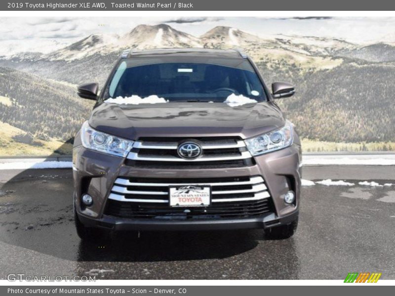 Toasted Walnut Pearl / Black 2019 Toyota Highlander XLE AWD
