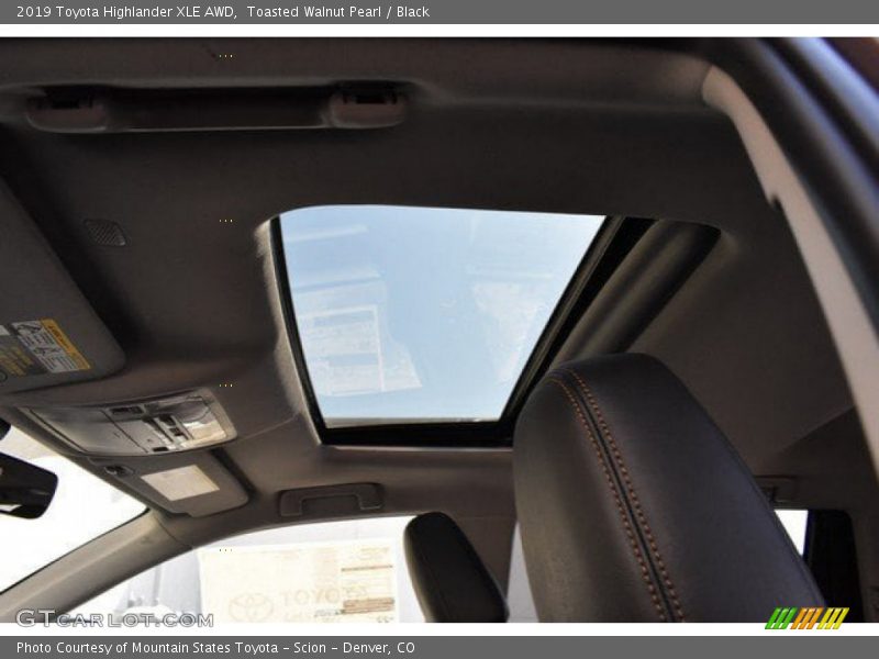 Toasted Walnut Pearl / Black 2019 Toyota Highlander XLE AWD