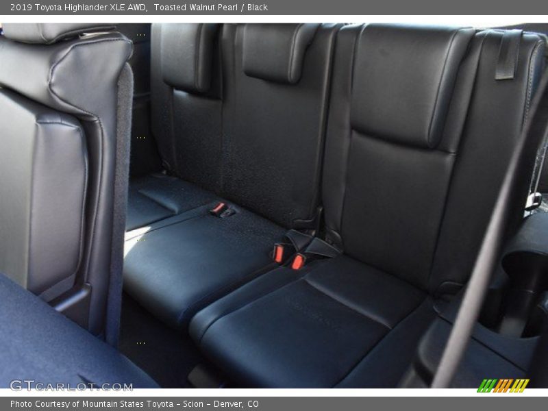 Toasted Walnut Pearl / Black 2019 Toyota Highlander XLE AWD