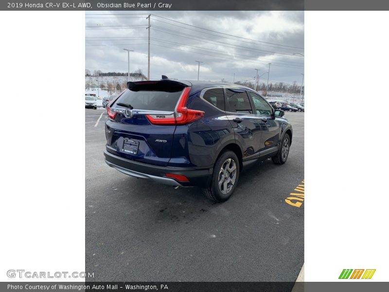 Obsidian Blue Pearl / Gray 2019 Honda CR-V EX-L AWD