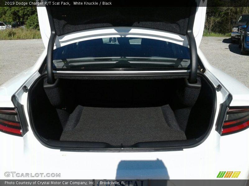 White Knuckle / Black 2019 Dodge Charger R/T Scat Pack