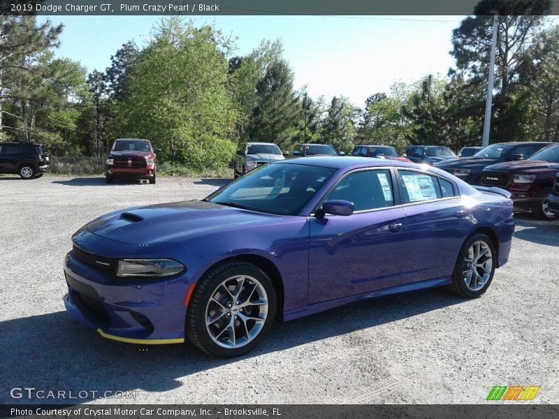 Plum Crazy Pearl / Black 2019 Dodge Charger GT