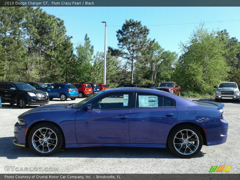 Plum Crazy Pearl / Black 2019 Dodge Charger GT