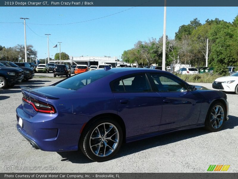 Plum Crazy Pearl / Black 2019 Dodge Charger GT