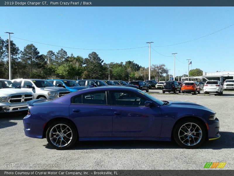 Plum Crazy Pearl / Black 2019 Dodge Charger GT