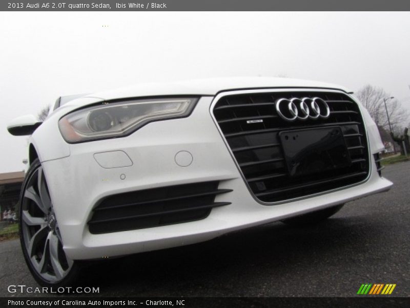 Ibis White / Black 2013 Audi A6 2.0T quattro Sedan