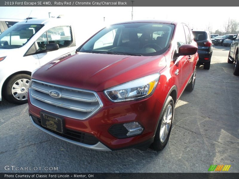 Ruby Red / Chromite Gray/Charcoal Black 2019 Ford Escape SE 4WD