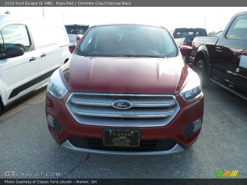 Ruby Red / Chromite Gray/Charcoal Black 2019 Ford Escape SE 4WD