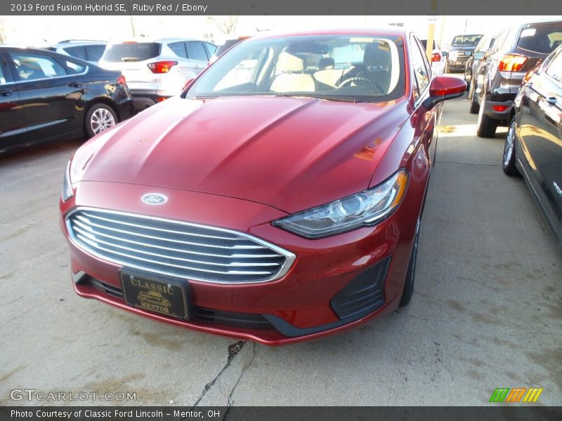 Ruby Red / Ebony 2019 Ford Fusion Hybrid SE