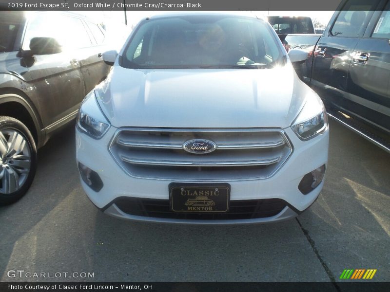 Oxford White / Chromite Gray/Charcoal Black 2019 Ford Escape SE