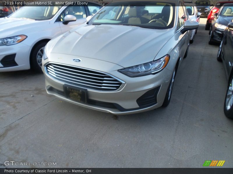 White Gold / Ebony 2019 Ford Fusion Hybrid SE