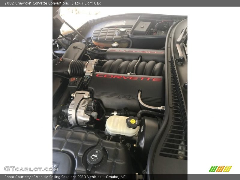 Black / Light Oak 2002 Chevrolet Corvette Convertible