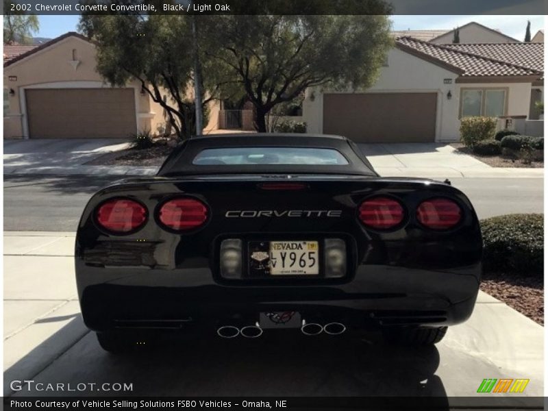 Black / Light Oak 2002 Chevrolet Corvette Convertible