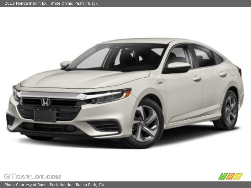 White Orchid Pearl / Black 2019 Honda Insight EX