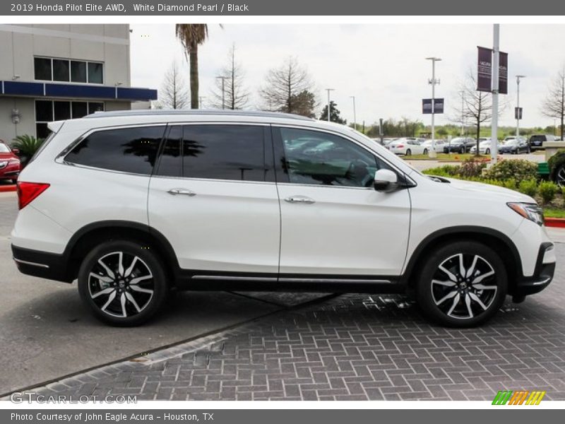 White Diamond Pearl / Black 2019 Honda Pilot Elite AWD