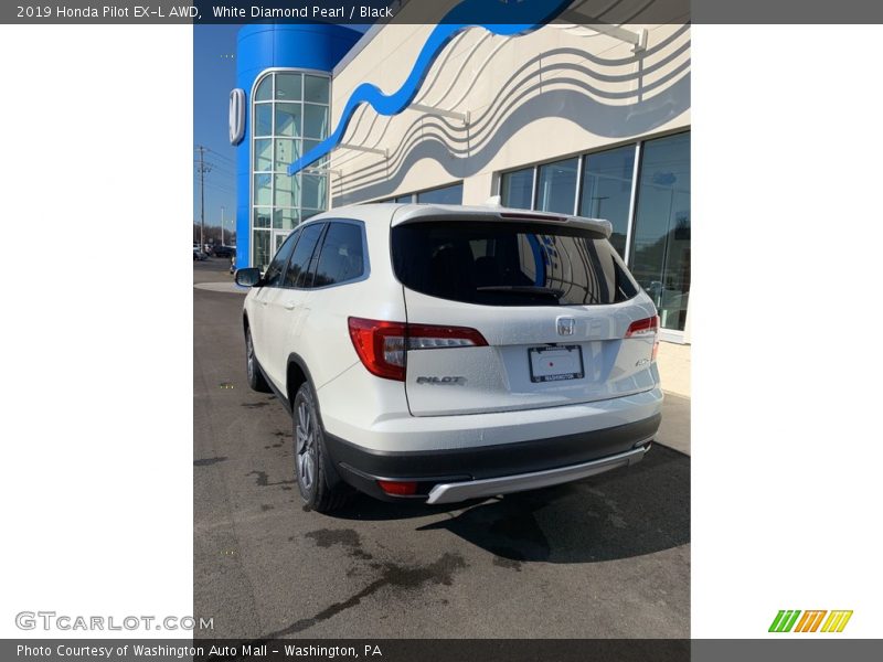 White Diamond Pearl / Black 2019 Honda Pilot EX-L AWD