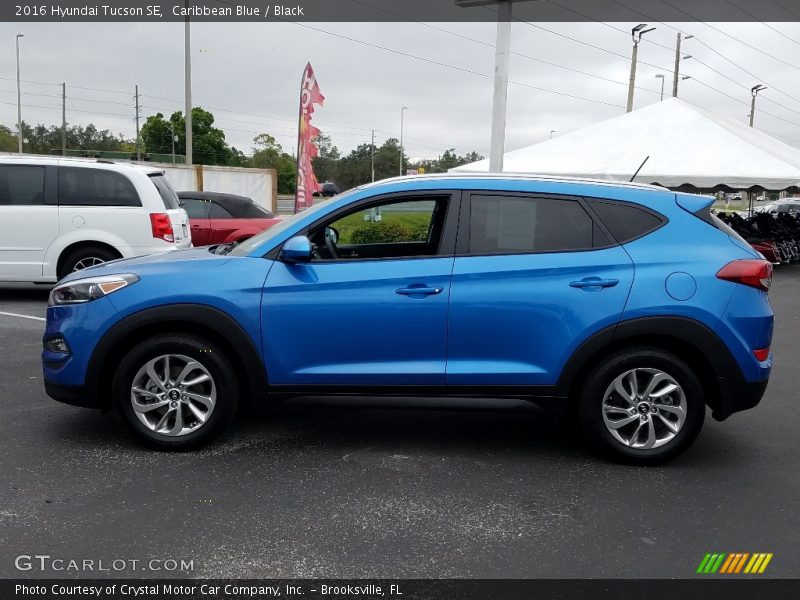 Caribbean Blue / Black 2016 Hyundai Tucson SE