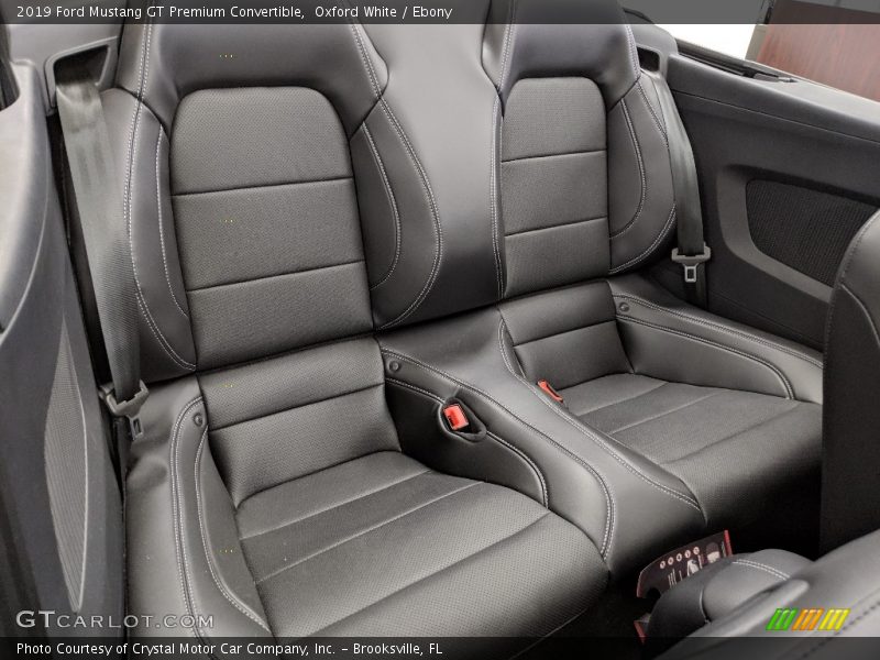 Rear Seat of 2019 Mustang GT Premium Convertible