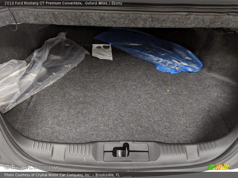  2019 Mustang GT Premium Convertible Trunk