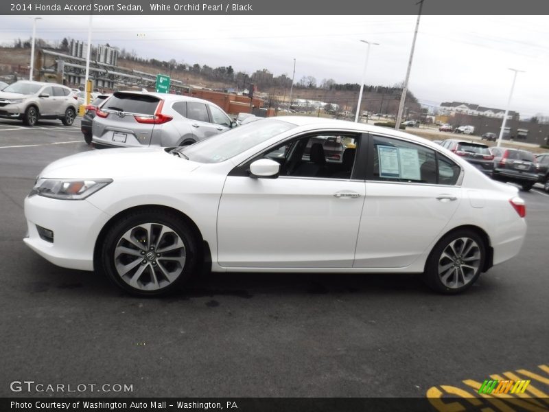 White Orchid Pearl / Black 2014 Honda Accord Sport Sedan