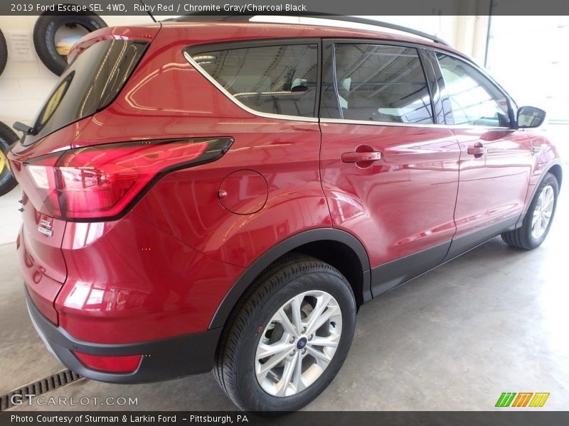 Ruby Red / Chromite Gray/Charcoal Black 2019 Ford Escape SEL 4WD