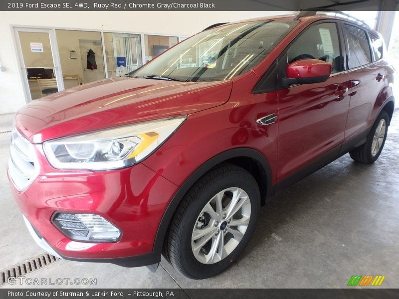 Ruby Red / Chromite Gray/Charcoal Black 2019 Ford Escape SEL 4WD