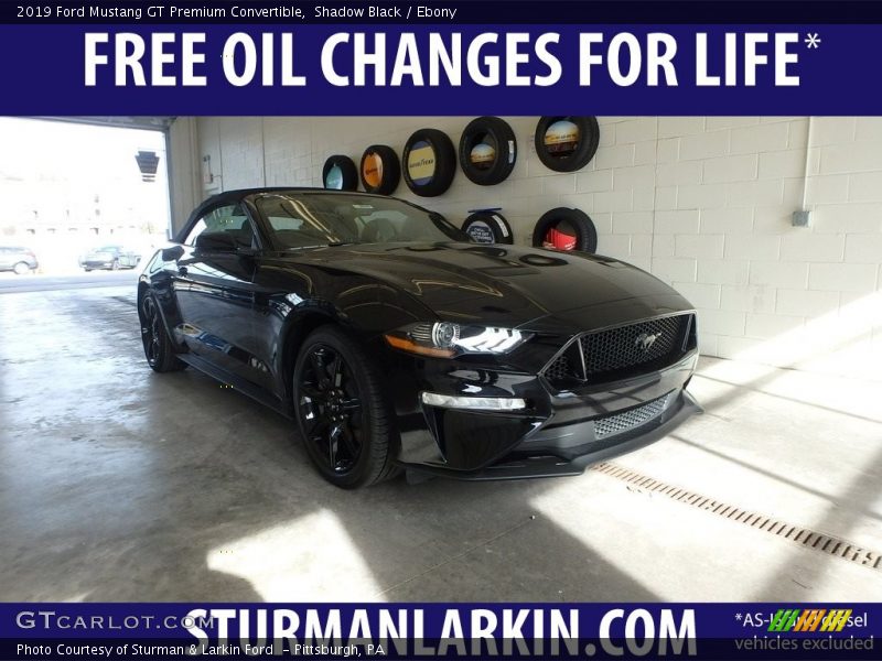 Shadow Black / Ebony 2019 Ford Mustang GT Premium Convertible