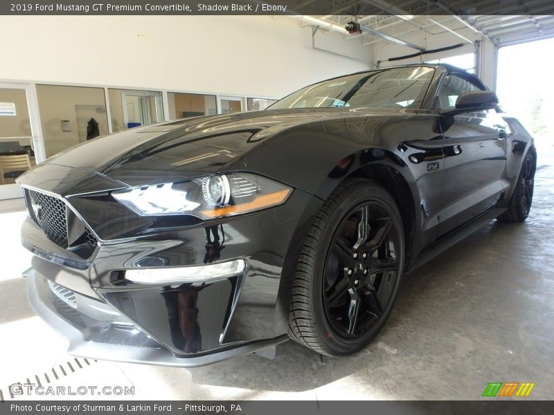 Shadow Black / Ebony 2019 Ford Mustang GT Premium Convertible