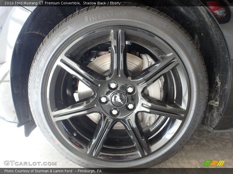 Shadow Black / Ebony 2019 Ford Mustang GT Premium Convertible