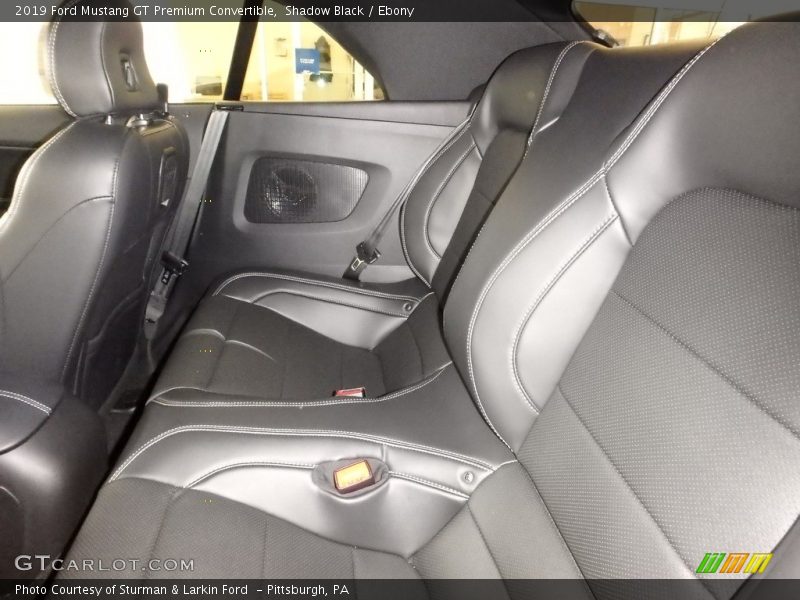 Shadow Black / Ebony 2019 Ford Mustang GT Premium Convertible