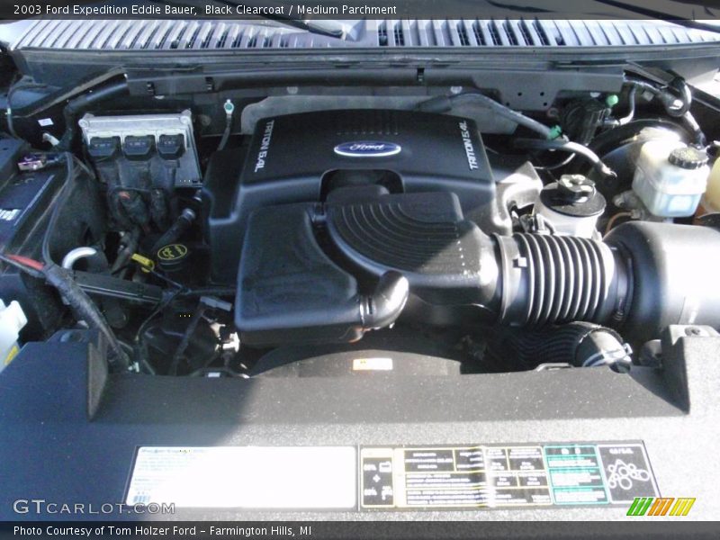 Black Clearcoat / Medium Parchment 2003 Ford Expedition Eddie Bauer