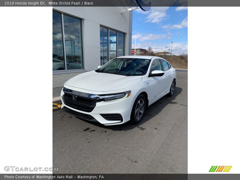 White Orchid Pearl / Black 2019 Honda Insight EX