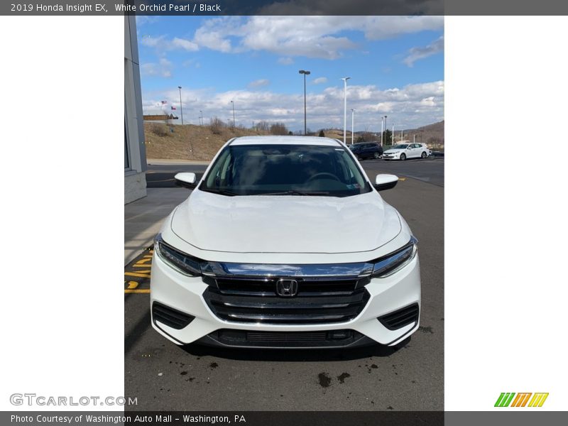 White Orchid Pearl / Black 2019 Honda Insight EX