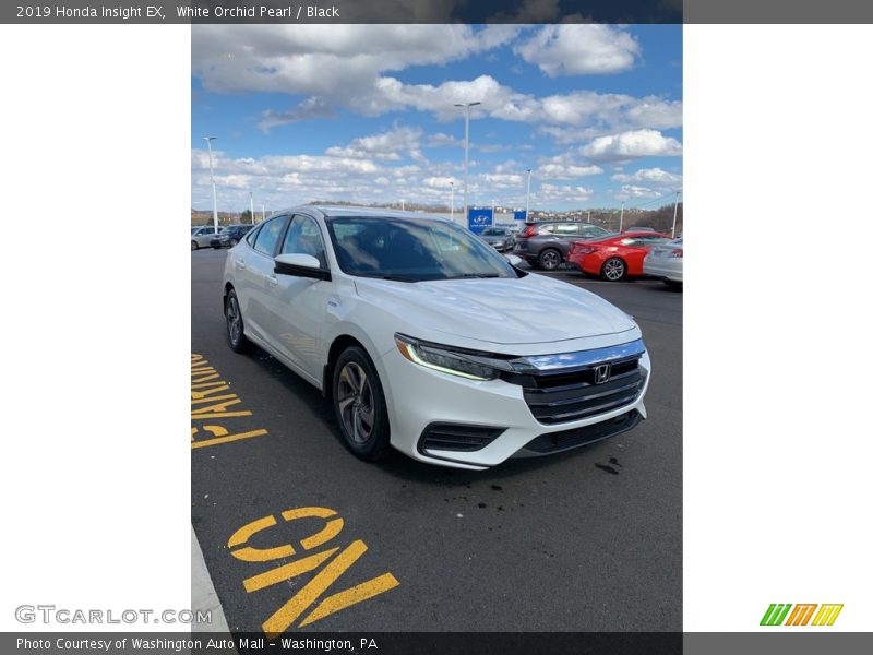 White Orchid Pearl / Black 2019 Honda Insight EX