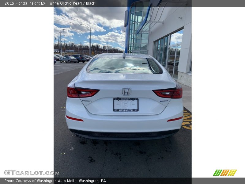 White Orchid Pearl / Black 2019 Honda Insight EX