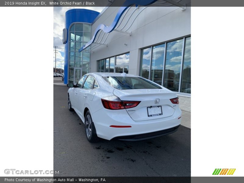 White Orchid Pearl / Black 2019 Honda Insight EX