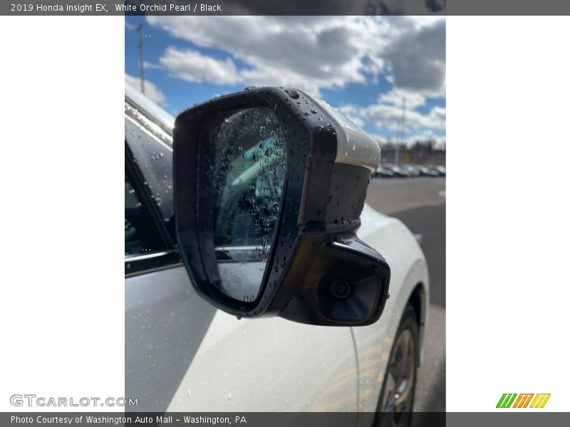 White Orchid Pearl / Black 2019 Honda Insight EX