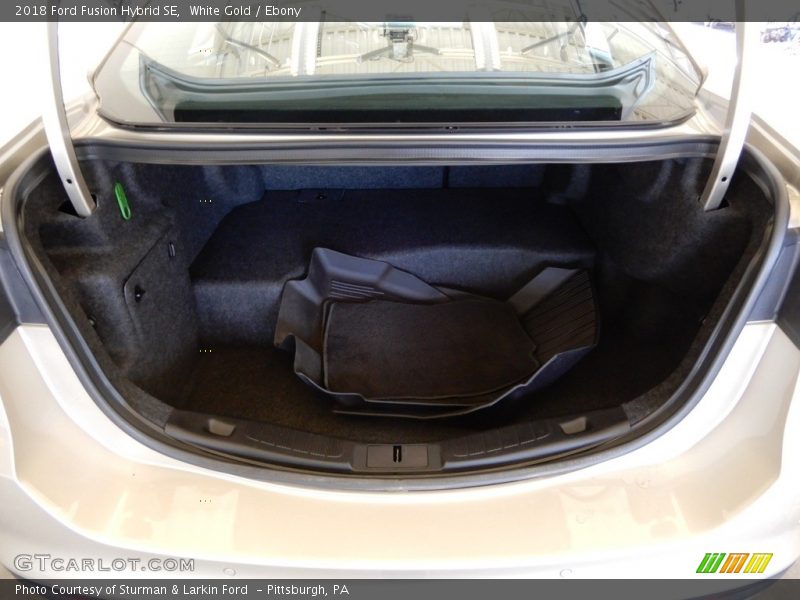 White Gold / Ebony 2018 Ford Fusion Hybrid SE