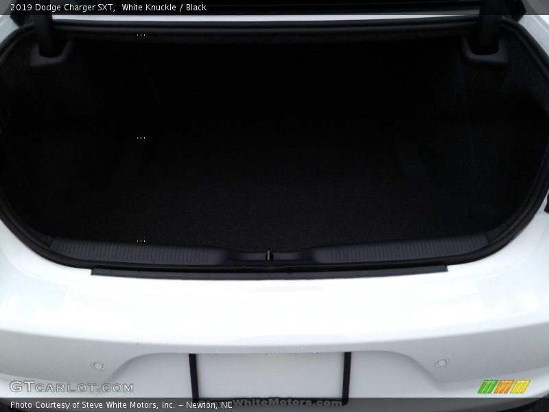White Knuckle / Black 2019 Dodge Charger SXT