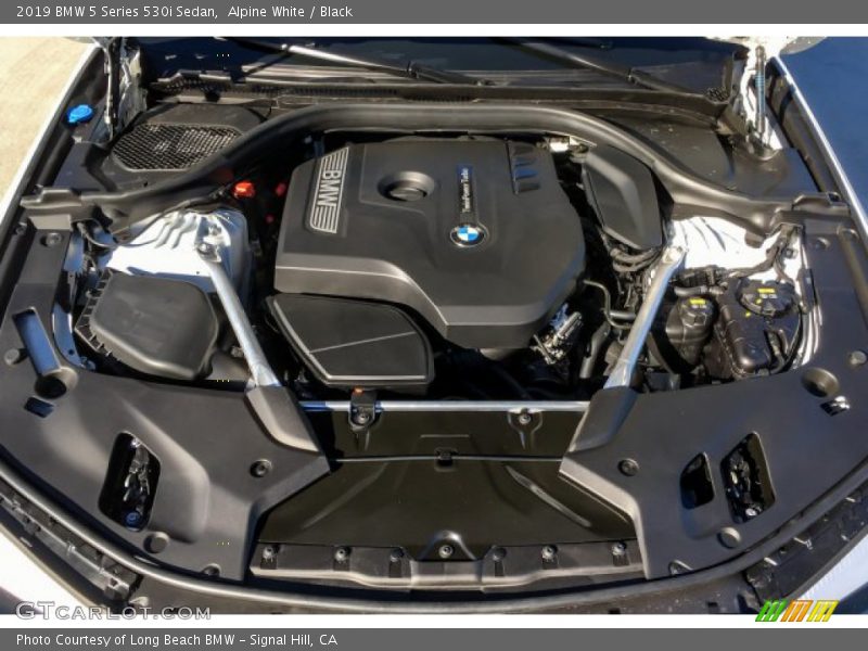 Alpine White / Black 2019 BMW 5 Series 530i Sedan