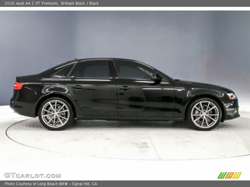 Brilliant Black / Black 2016 Audi A4 2.0T Premium