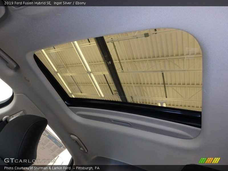 Ingot Silver / Ebony 2019 Ford Fusion Hybrid SE