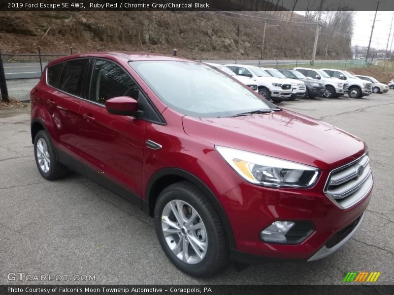 Ruby Red / Chromite Gray/Charcoal Black 2019 Ford Escape SE 4WD