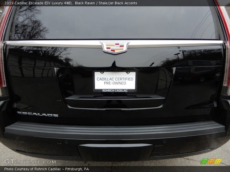 Black Raven / Shale/Jet Black Accents 2019 Cadillac Escalade ESV Luxury 4WD