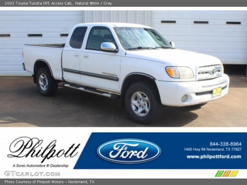 Natural White / Gray 2003 Toyota Tundra SR5 Access Cab