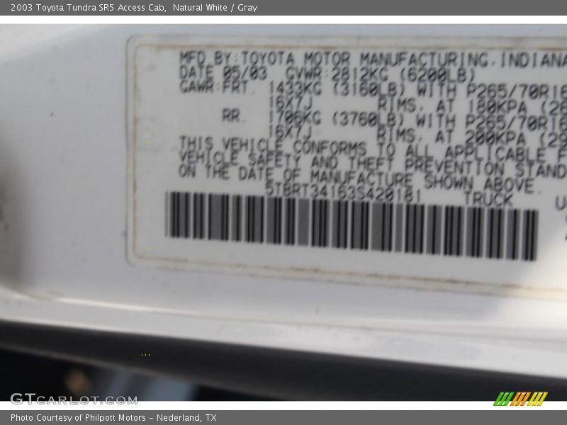 Natural White / Gray 2003 Toyota Tundra SR5 Access Cab