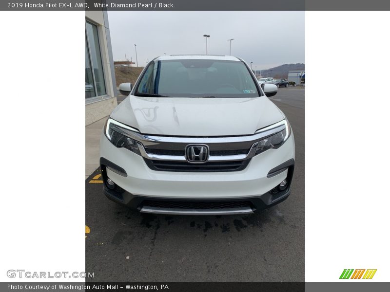 White Diamond Pearl / Black 2019 Honda Pilot EX-L AWD
