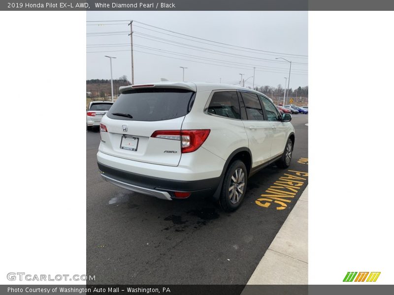 White Diamond Pearl / Black 2019 Honda Pilot EX-L AWD