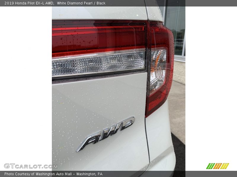 White Diamond Pearl / Black 2019 Honda Pilot EX-L AWD